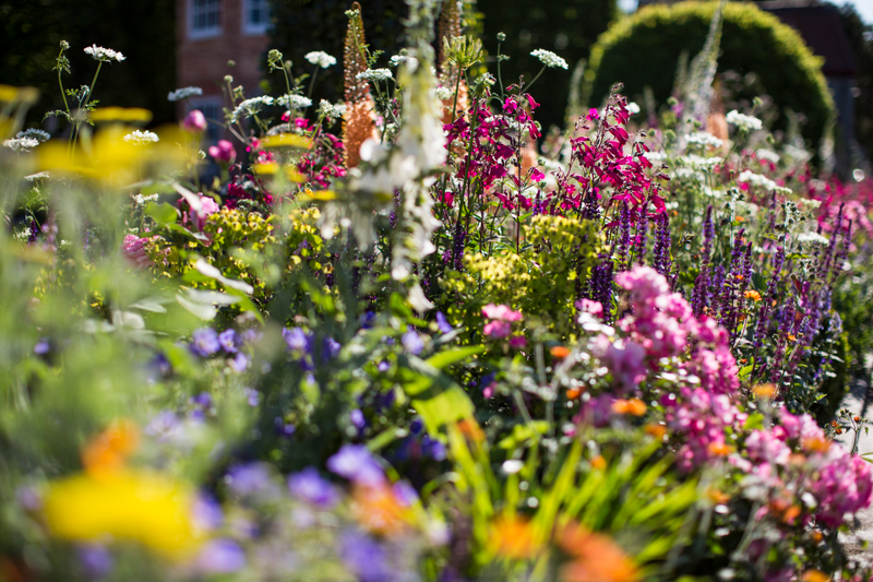 Illustration for article titled Peeking Inside the Hectic Floral Heaven of the Chelsea Flower Show
